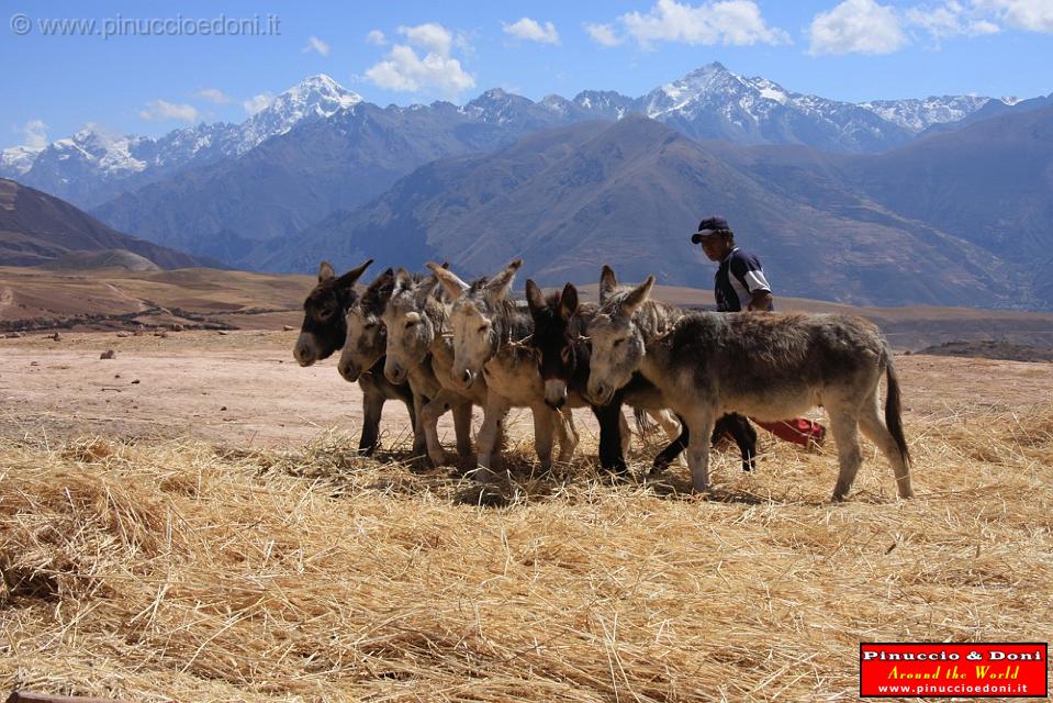 PERU - Sito agricolo di Moray - 01.jpg